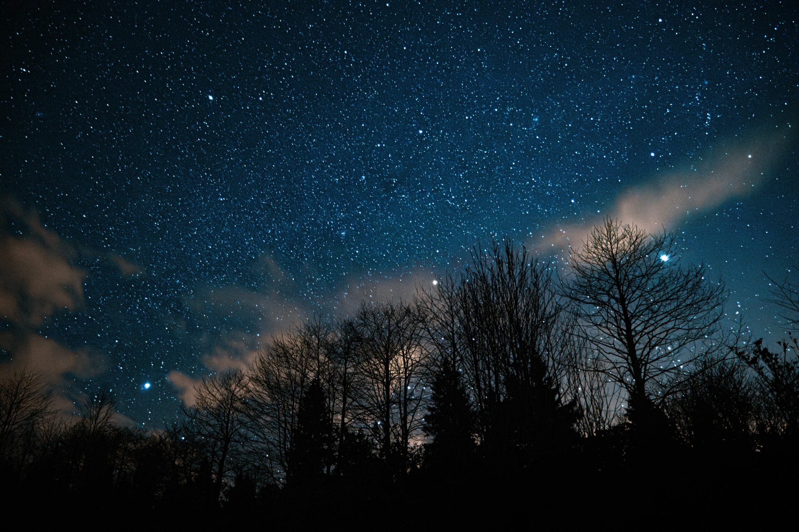 A clear night sky with countless stars shining above a dark forest silhouette.