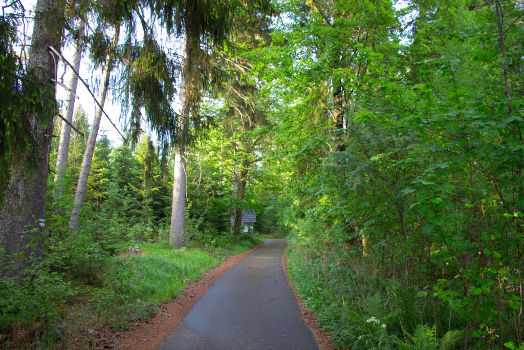 Kořenný Šumava