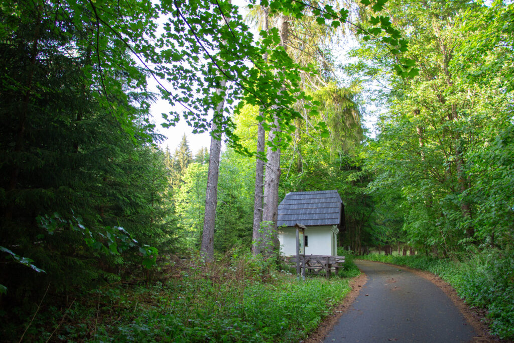 Kořenný Šumava