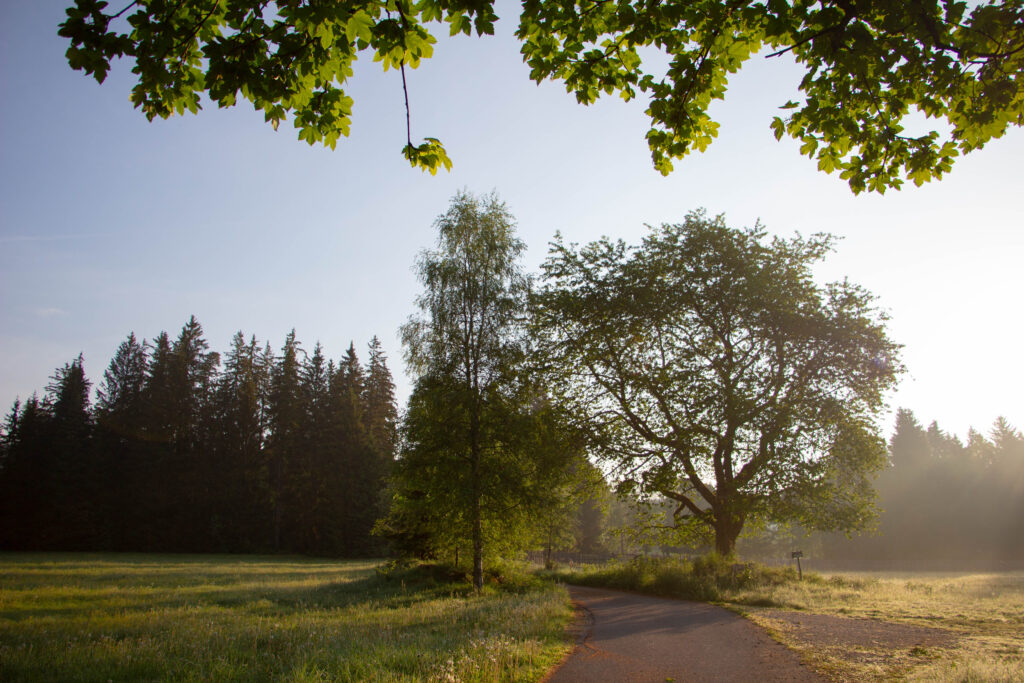 Kořenný Šumava